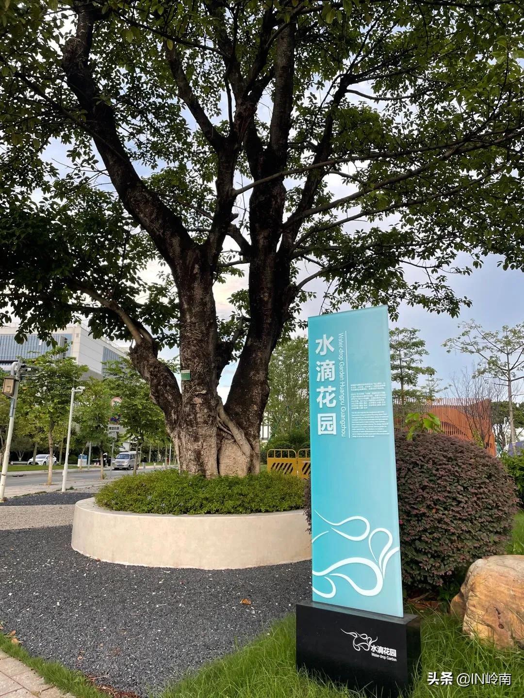 水滴花园，水下森林，这个小岛上的水可太美了