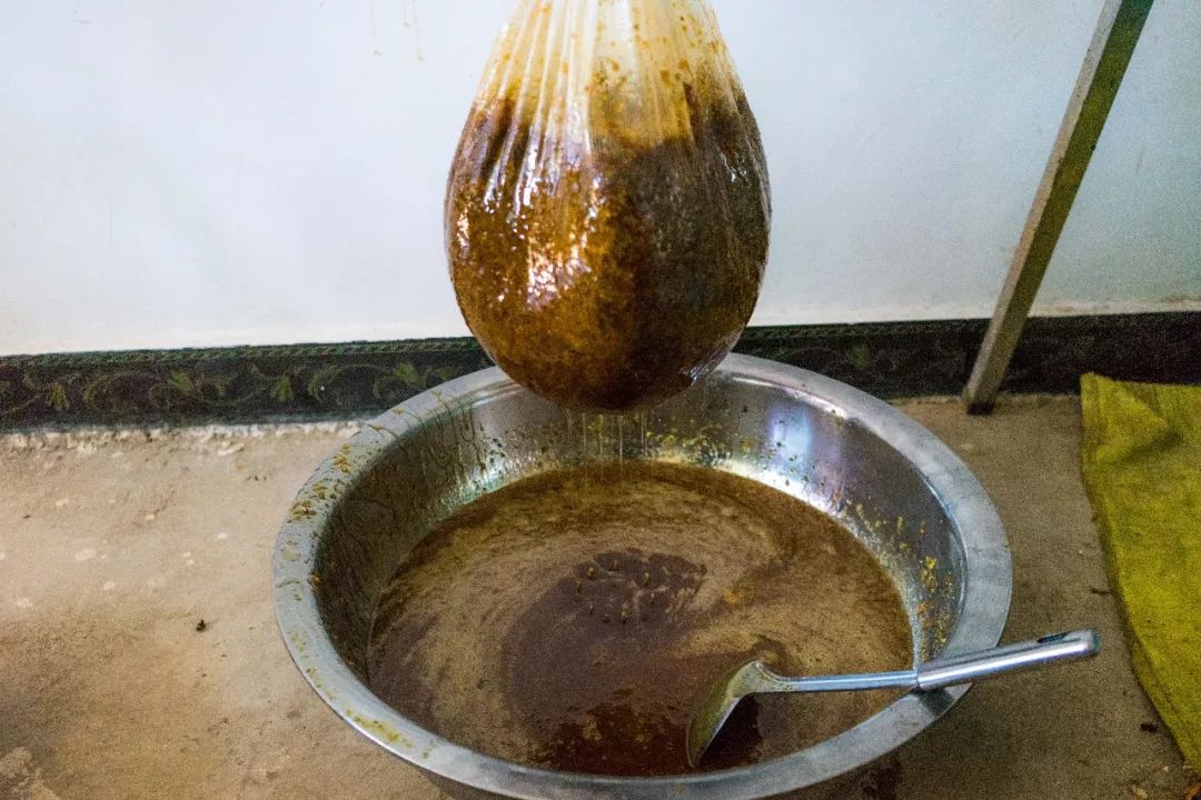 土蜂蜜的取蜜全过程,土蜂蜜取蜜全过程记录