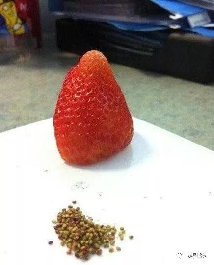 宅家无聊自嗨起来,宅家自娱自乐大赛