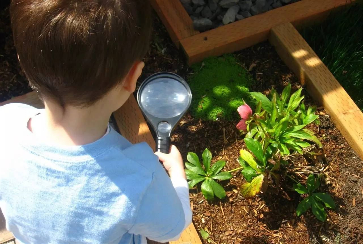 阻止孩子与品德不好的孩子玩,阻止孩子成长的心理