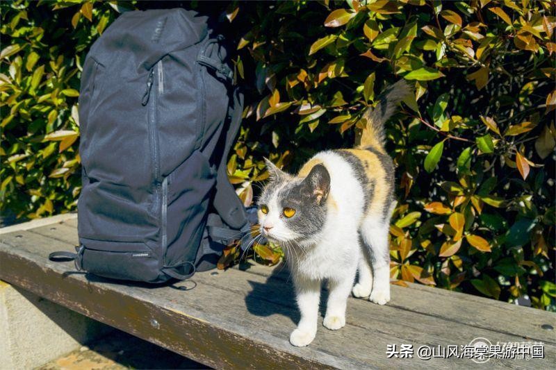 户外旅行两不误,拓乐thule25lvea背包测评