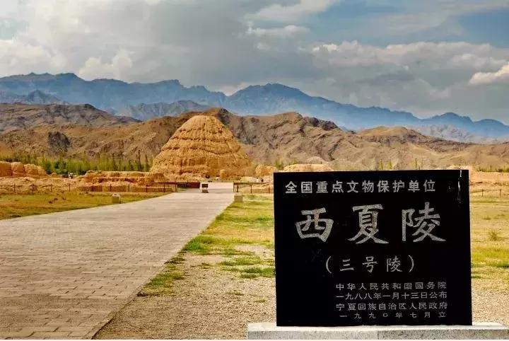 谁说冬天只有严寒,谁说大西北的荒漠寸草不生