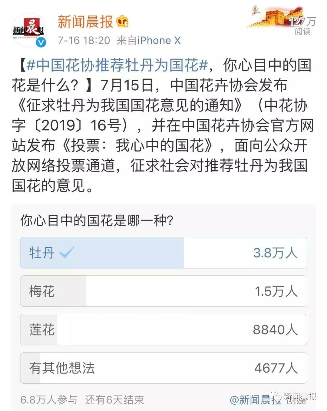 我们要评“国花”了！网友又吵翻了天！你pick哪种？