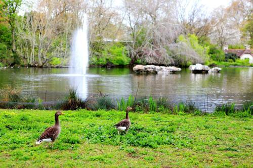 去英国必做的几件事,第一次去英国需要什么手续