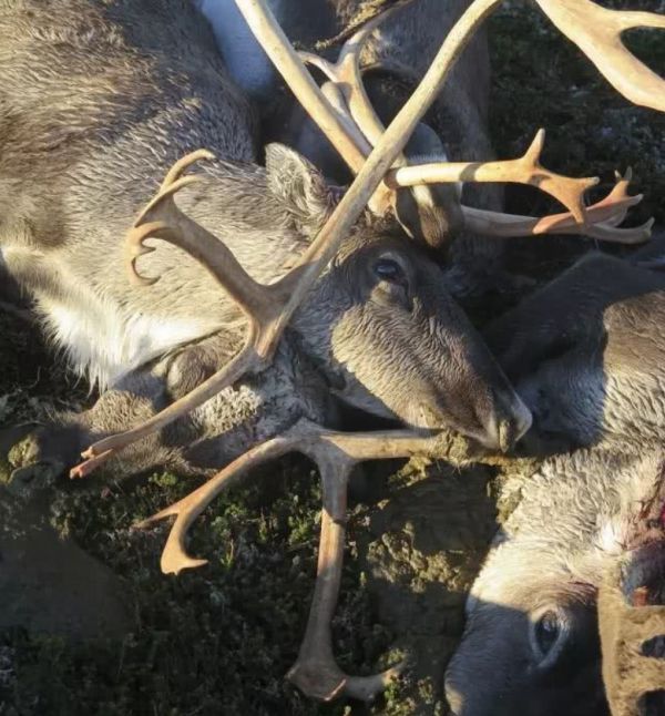 世界上的闪电相当于多少度电,一次闪电的能量相当于多少度电