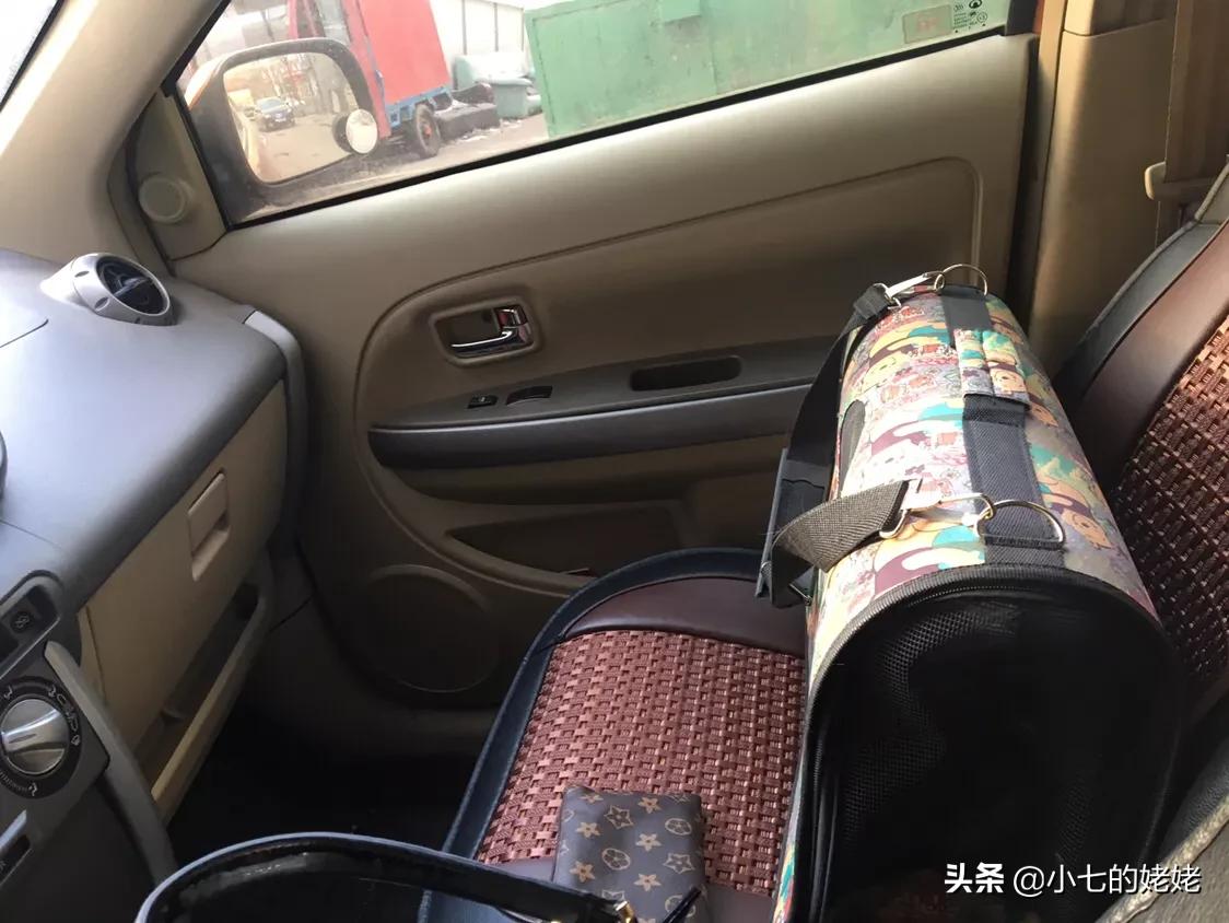 进退两难我们怎么办,进退两难有什么办法