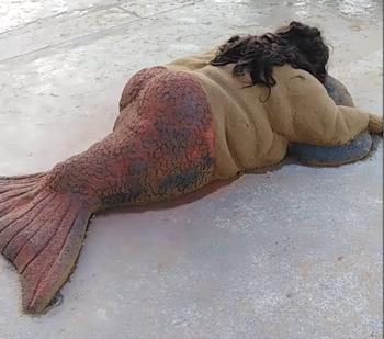 老外沙雕动物视频,外国人沙雕模仿动物