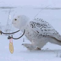 这些用药误区家长不要踩,12大用药误区家长务必不要再犯了