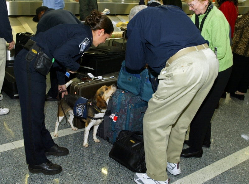携防弹衣入境，美国大学一中国学生被注销签证遭遣返，他有持枪证