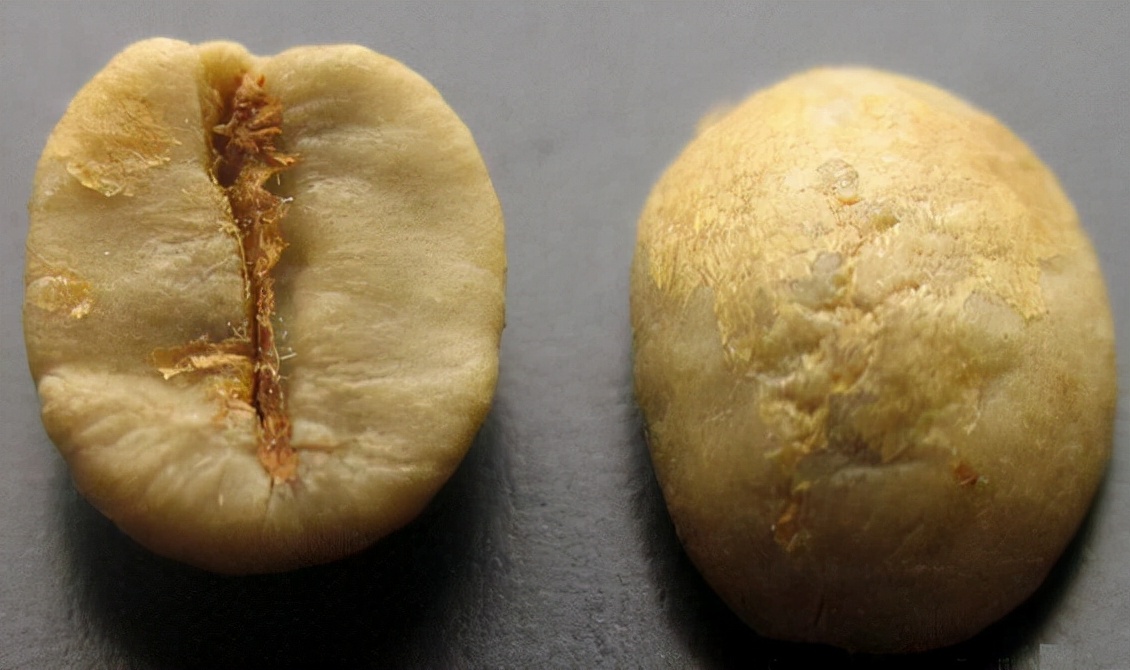 咖啡知识大全,巴西咖啡和意大利咖啡最大区别