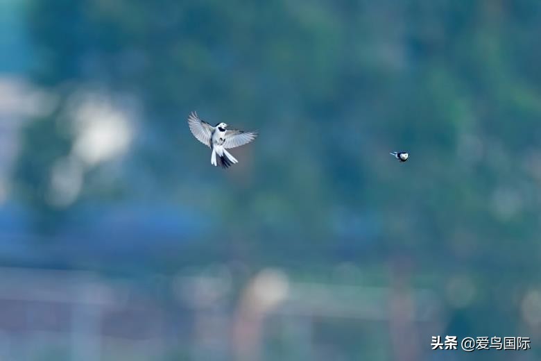 索尼selp1670镜头评测,索尼alpha9镜头