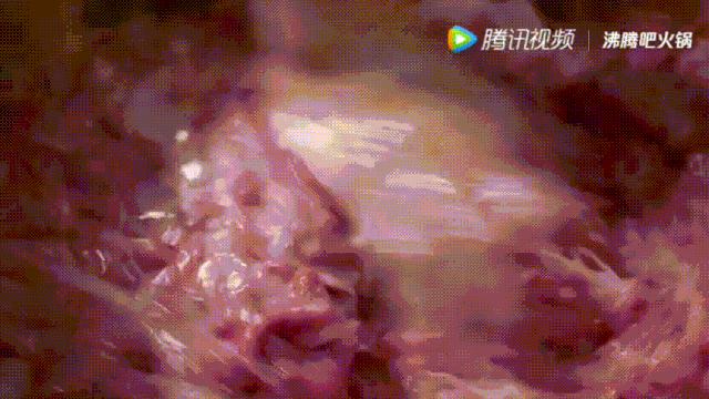 明星投毒吓人事件,深夜放毒招人恨的视频