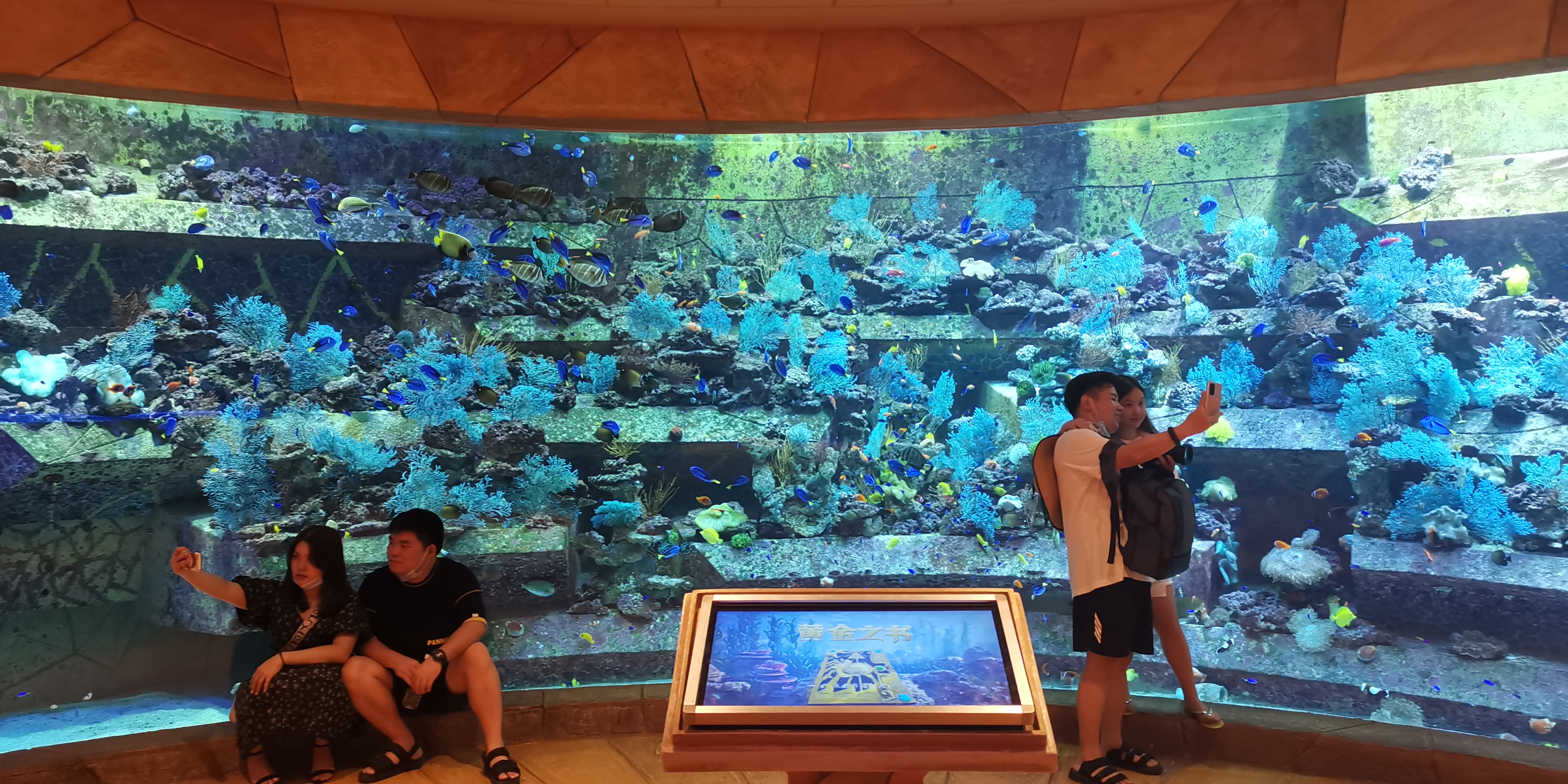 三亚海棠湾亚特兰蒂斯,三亚海棠湾和泓海棠府