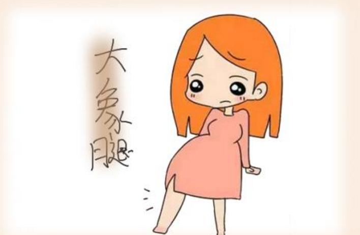 孕期最关键的是哪几周,孕期最重要的三次检查