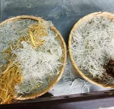 文房四宝的制作材料和独有特征,原来宣纸是这样制作的