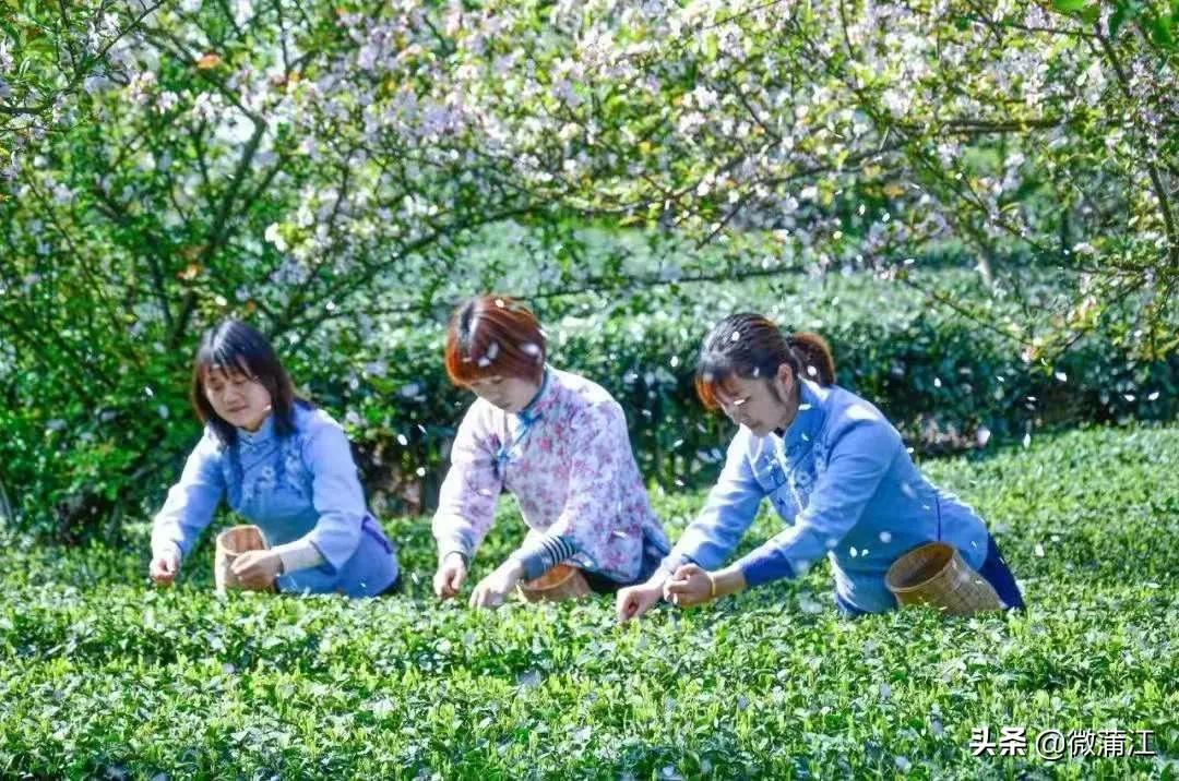 社会满意度考评,社会公众满意度测评宣传图片