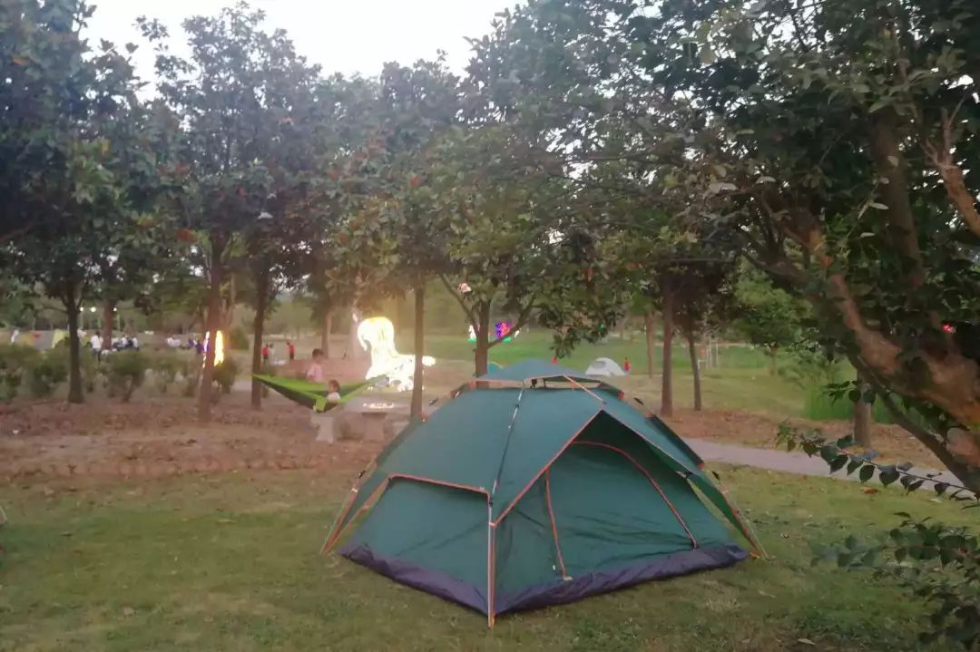 紫薇园宿州露营音乐节,中华紫薇园露营