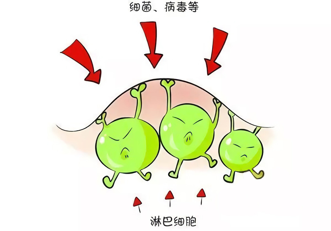 小孩肠系膜淋巴结炎腹痛怎么办,肠系膜淋巴结炎和小儿疳积