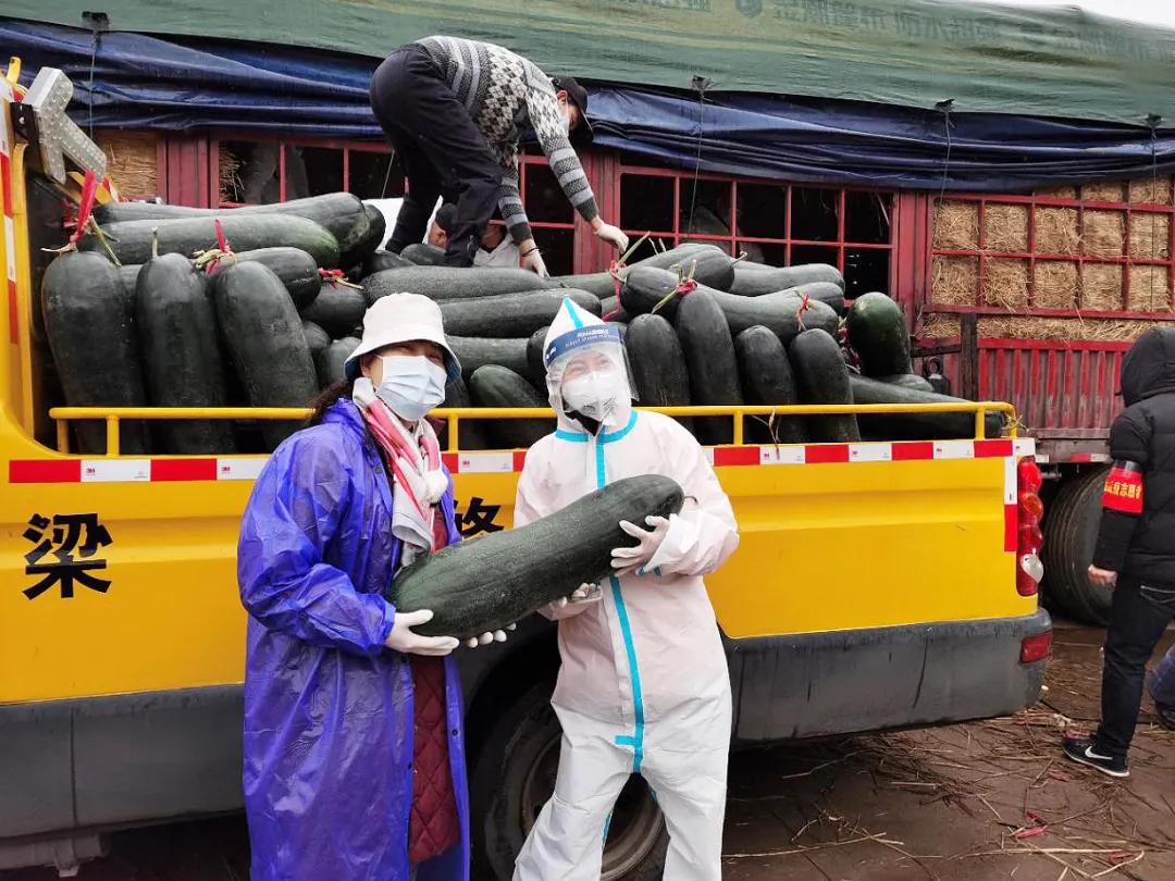 全民抗疫总动员,抗疫社区总动员