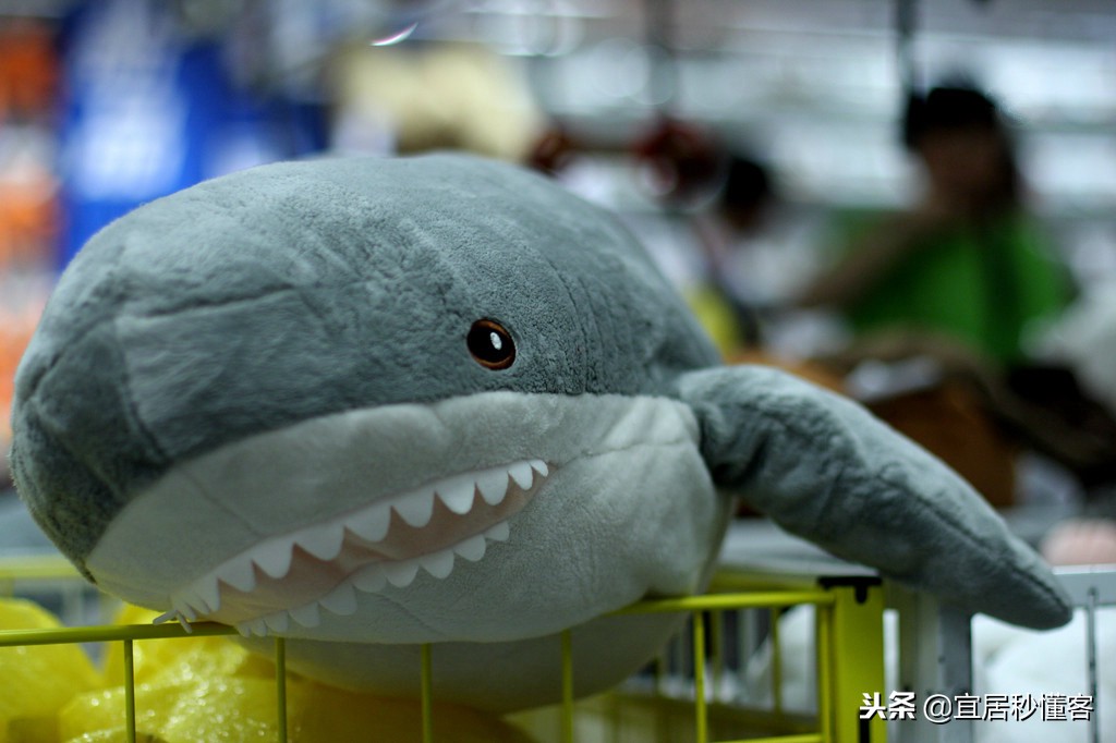 宜家小鲨鱼,为什么宜家鲨鱼火了