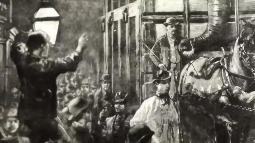 小飞象真实事迹,小飞象哭了全过程