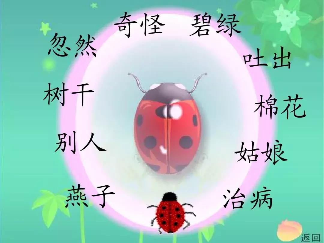 一年级下册语文19课棉花姑娘,一年级棉花姑娘课文笔记