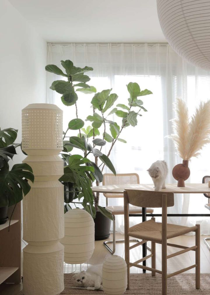 装修哪些灯光超级实用,家庭装修实用灯光操作新手必看