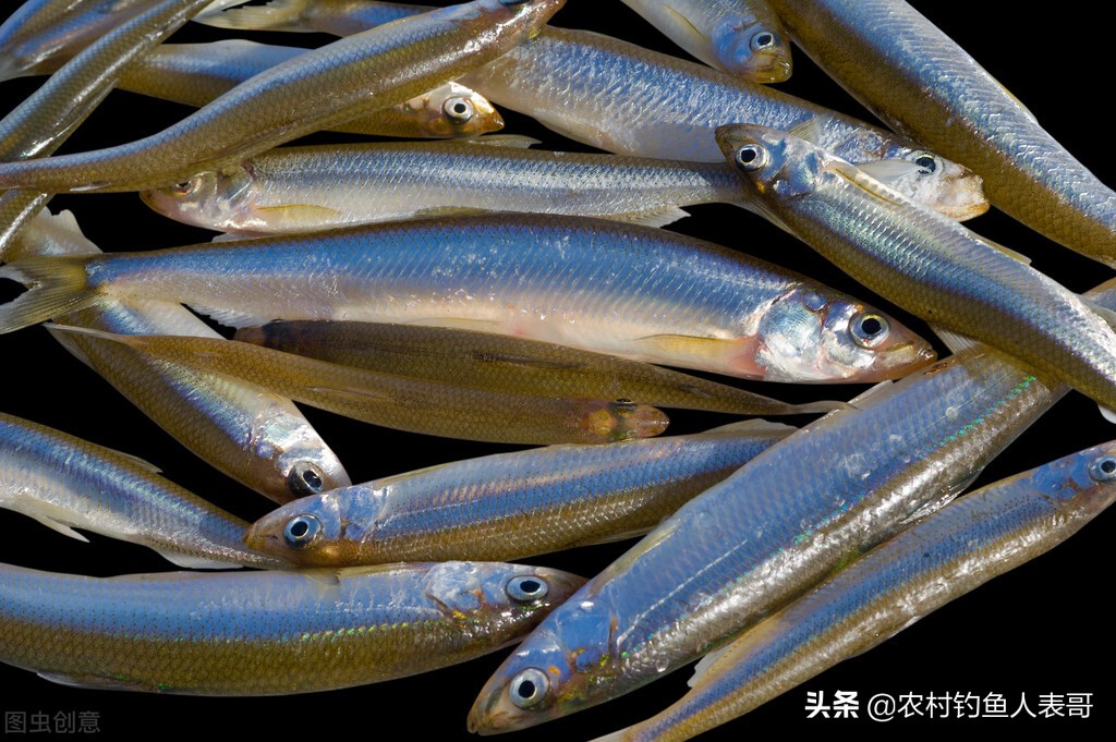 夏天鱼难钓的方法,夏季老钓位鱼怎么钓