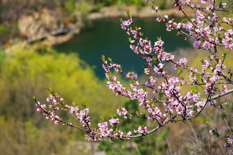 九如山冬日旅游,九如山旅游攻略一日游春季