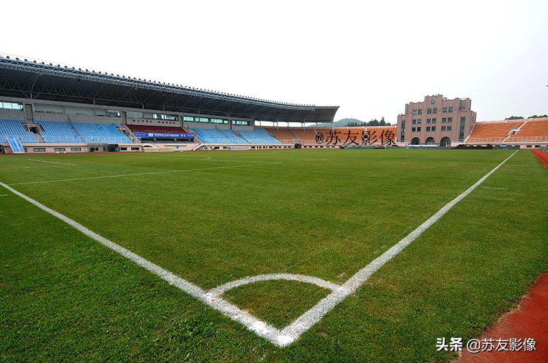 山东天泰体育场,青岛天泰体育场相亲角在哪里