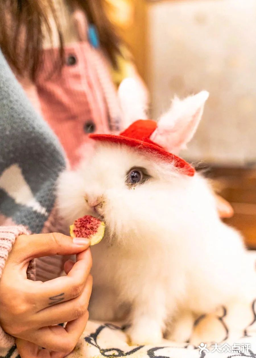 全国新开店铺,值得打卡的全国首店