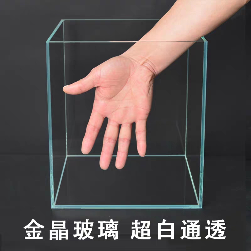 想养鱼但是不想买鱼缸,想养鱼但是不想换水