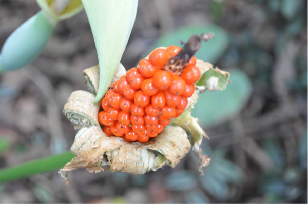 三亚自由行旅游攻略超详细哦,三亚旅游自由行全攻略