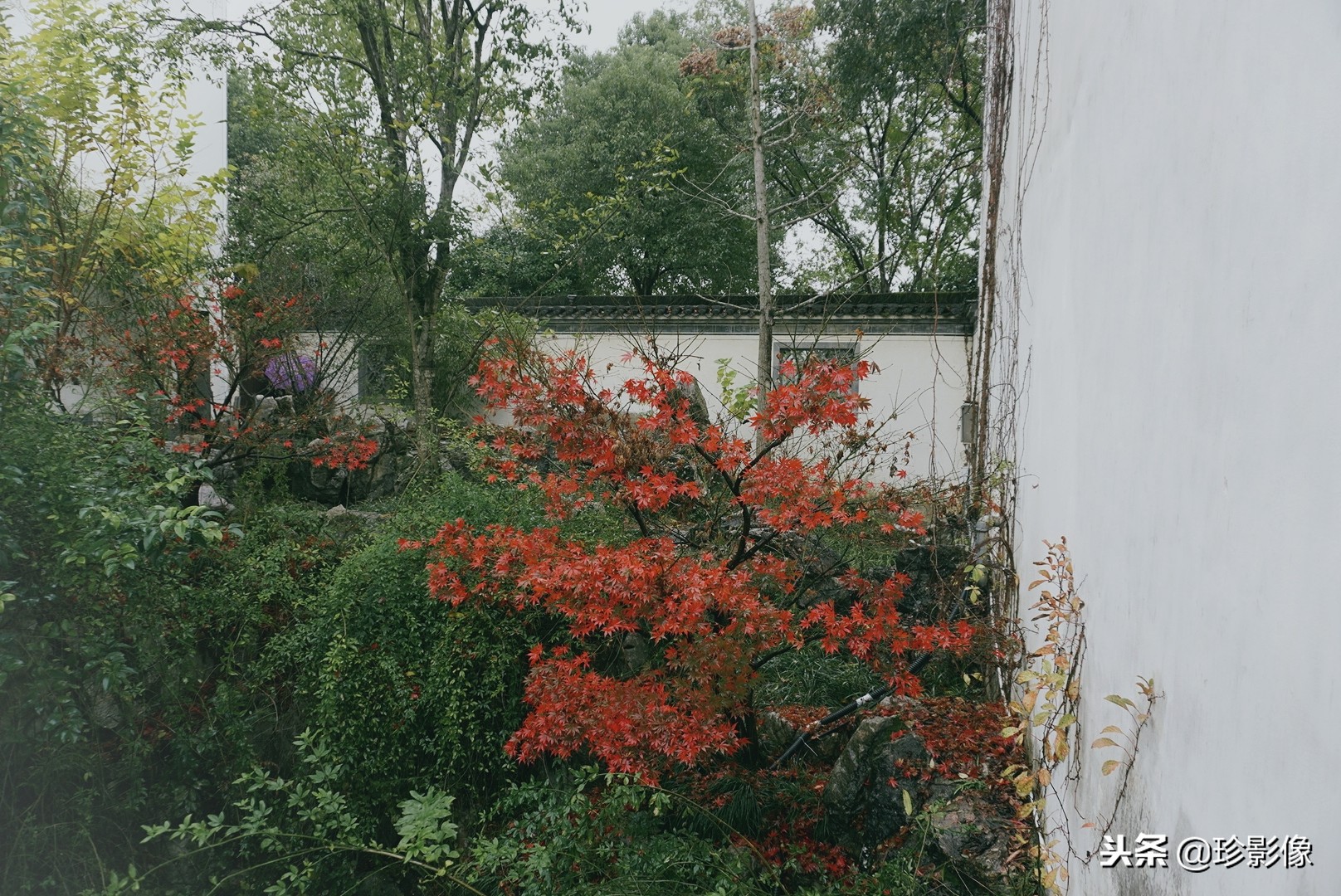 婺源紫阳镇熹园,婺源紫阳熹园