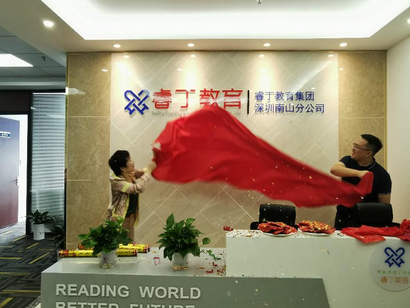 睿丁教育课程,睿丁教育