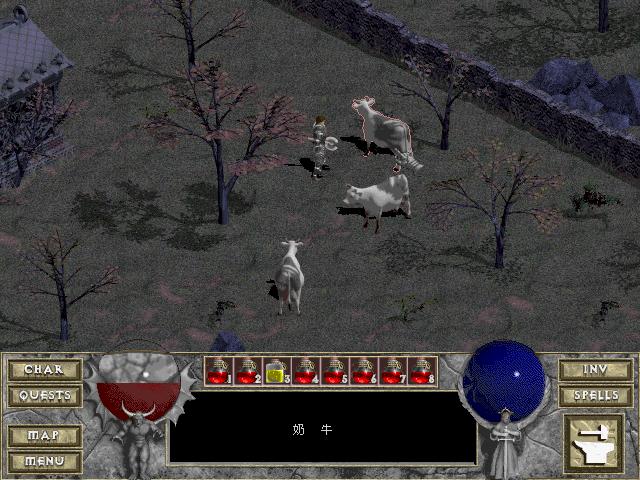 暗黑2维特之脚有什么用,暗黑2维特之脚为什么不能捡起来