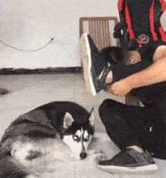 steam的钱怎么拿出来,steam怎么卖钱变现