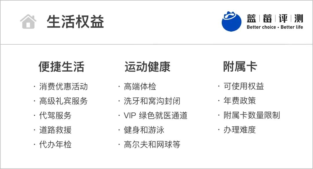 蓝莓评测,蓝莓测评推荐