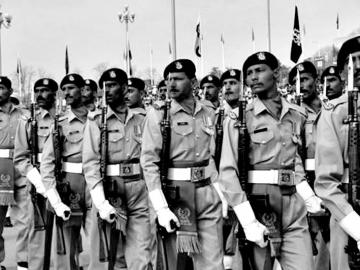 金砖变成板砖了,金砖变板砖怎么玩