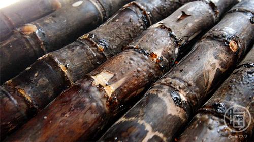 海南最火烤甘蔗,海口烤甘蔗的在哪里