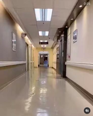 香港女艺人被打,香港女艺人遭打