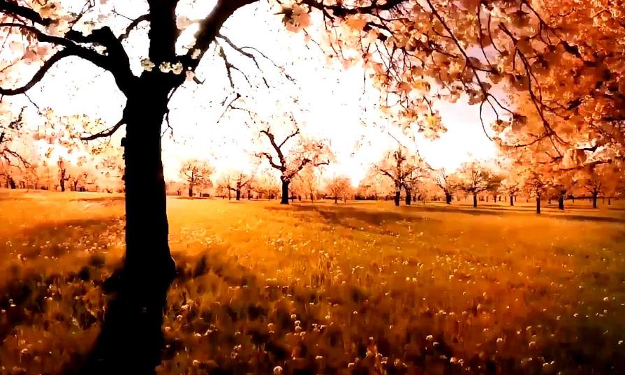 人死后为什么有头七的说法,为什么人死后有头七的说法