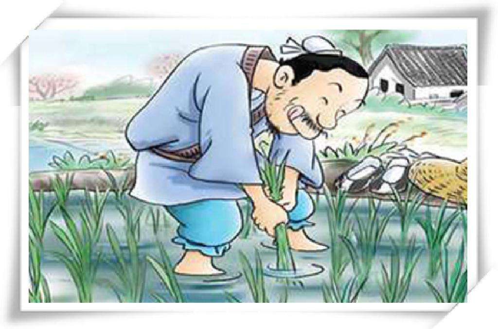 三年级下语文阅读理解训练题寓言,二年级寓言故事阅读训练试题