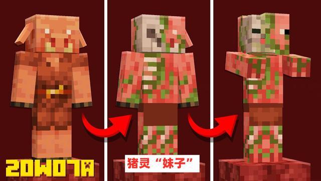 我的世界五个长得像村民的生物,我的世界各种能被驯服的生物