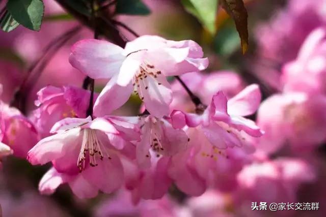 江南大学----一所可能“不适宜”学习的高校