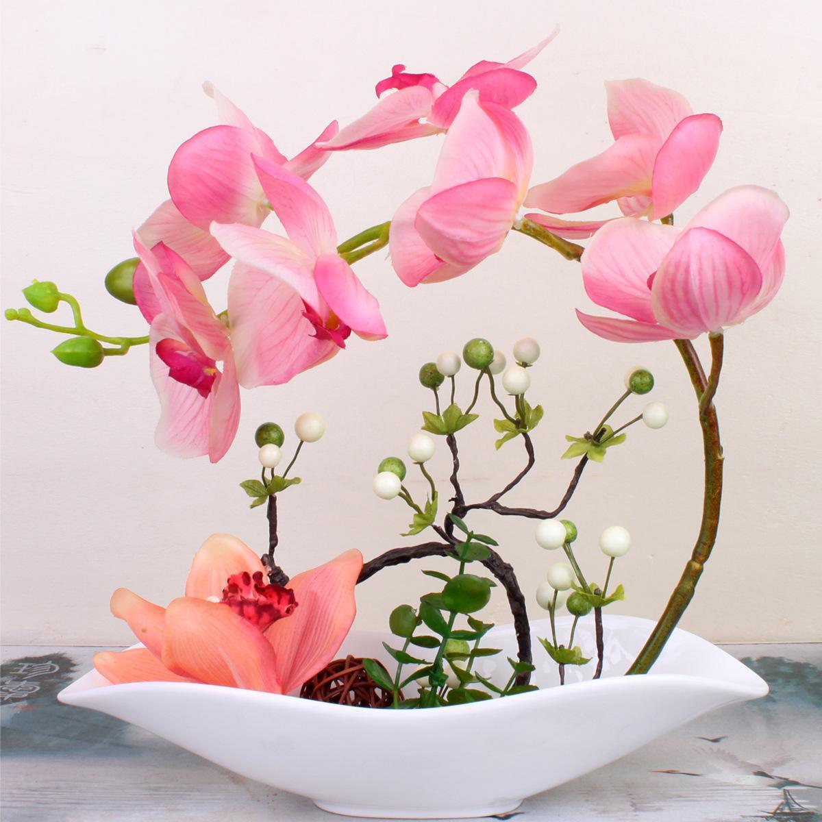 蝴蝶兰一浇水根就发霉,蝴蝶兰一夜之间就蔫巴了