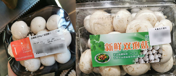 山海情结束后的感受,山海情追剧