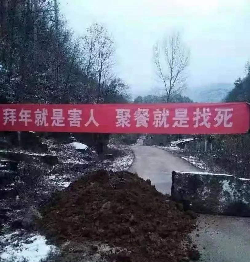 湖北即将断粮的3亿只鸡