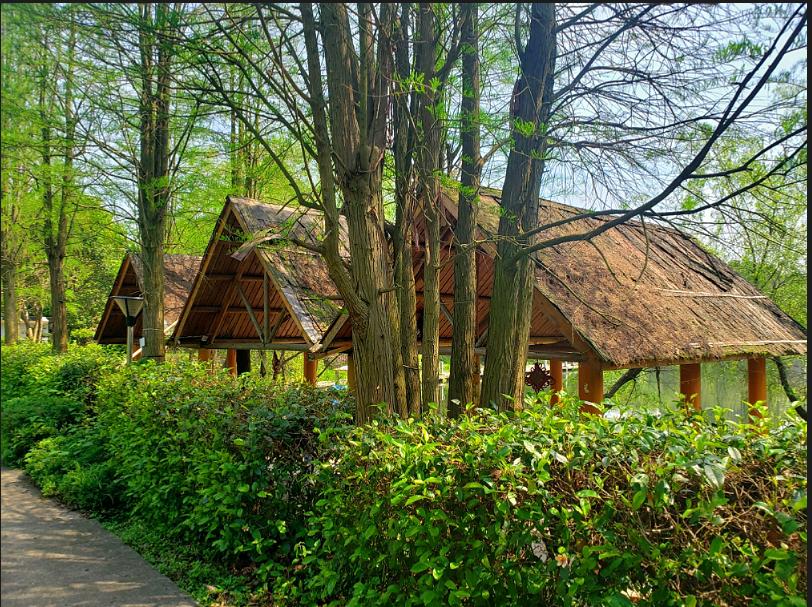 美丽乡村：室外桃源休闲山庄，一步一景美如画