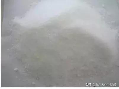 怎样辨别磷酸二氢钾的真假呢,怎样辨别磷酸二氢钾是真的假的